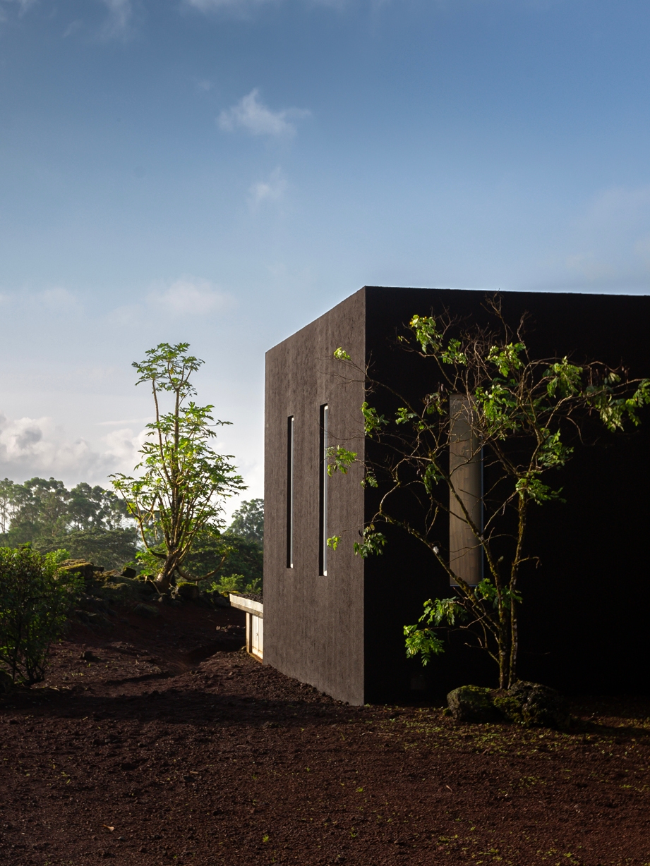 Modern black building amongst green trees under a blue sky with clouds.