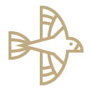 Birdwatching main icon