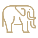 Jacada Travel Gold elephant icon