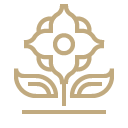 Spring flowers main icon