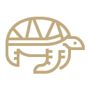 Jacada Travel vector art of a turtle drawn in bold gold lines