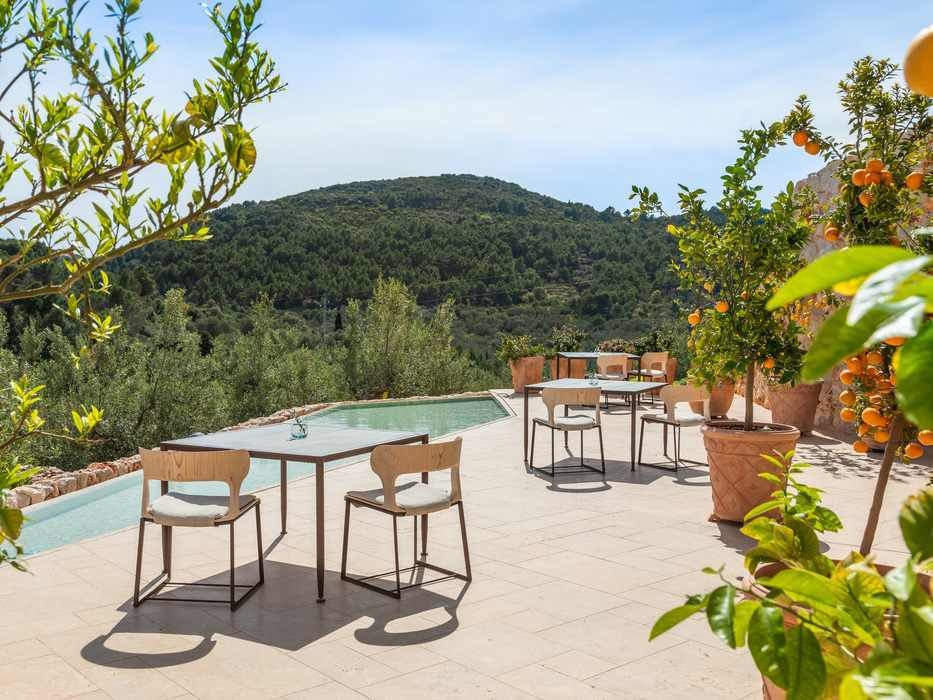 Outdoor dining tables on a sunny stone terrace next to potted orange trees with hills in the background.