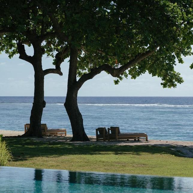 Two wooden beach loungers shaded by leafy trees on a sandy shore facing the ocean horizon.
