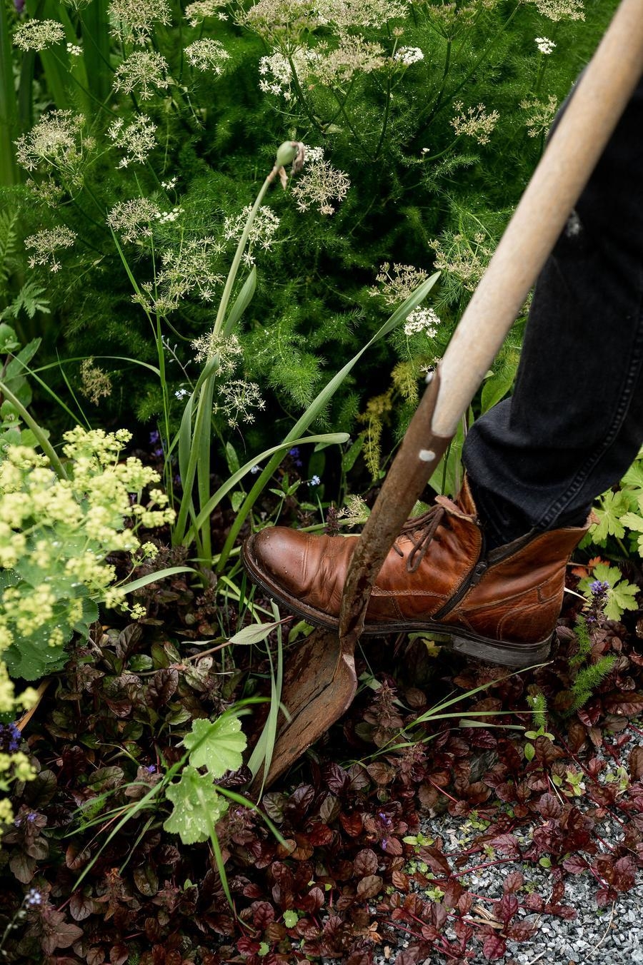 A person gardening.