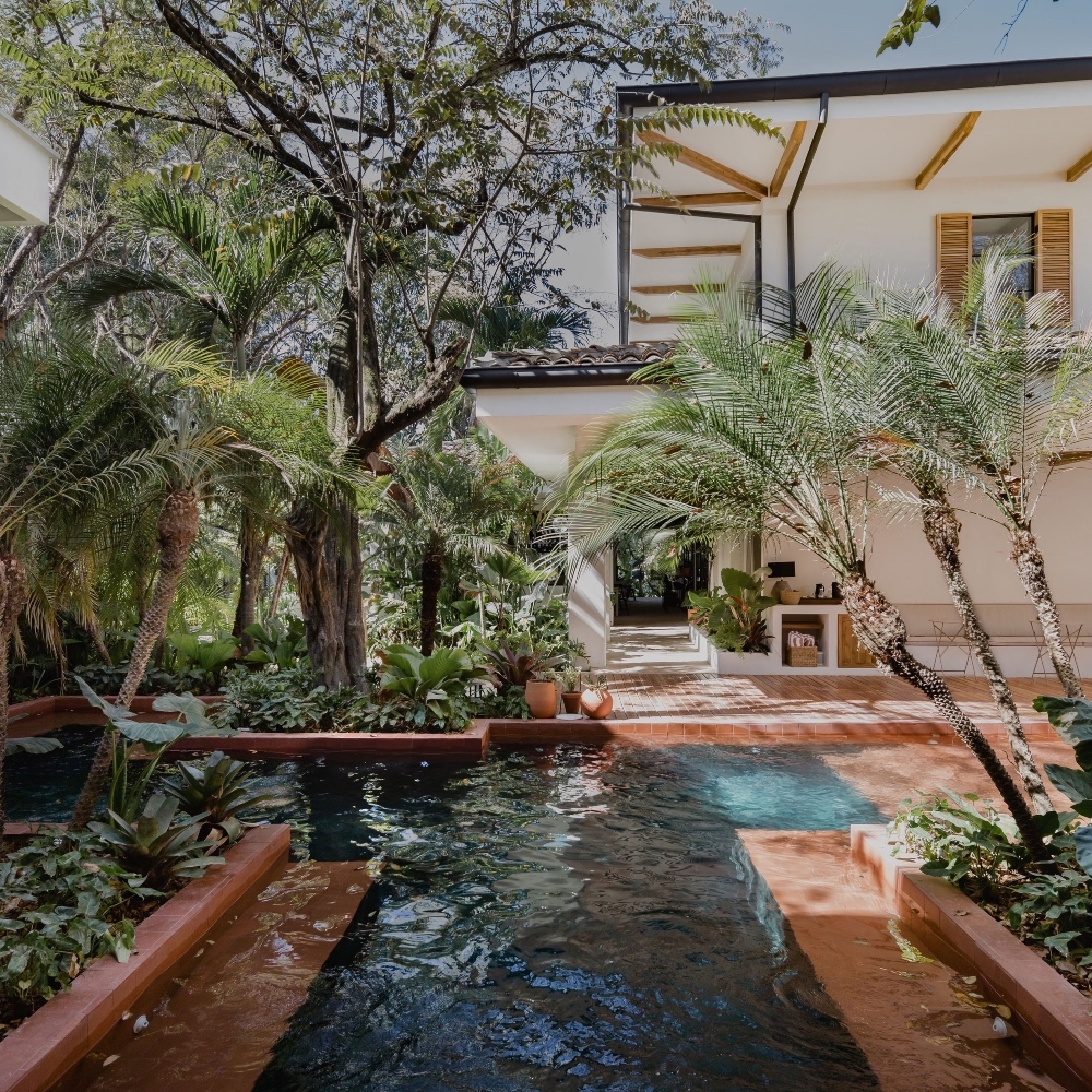 A tropical house exterior with lush greenery and a narrow reflective pool.