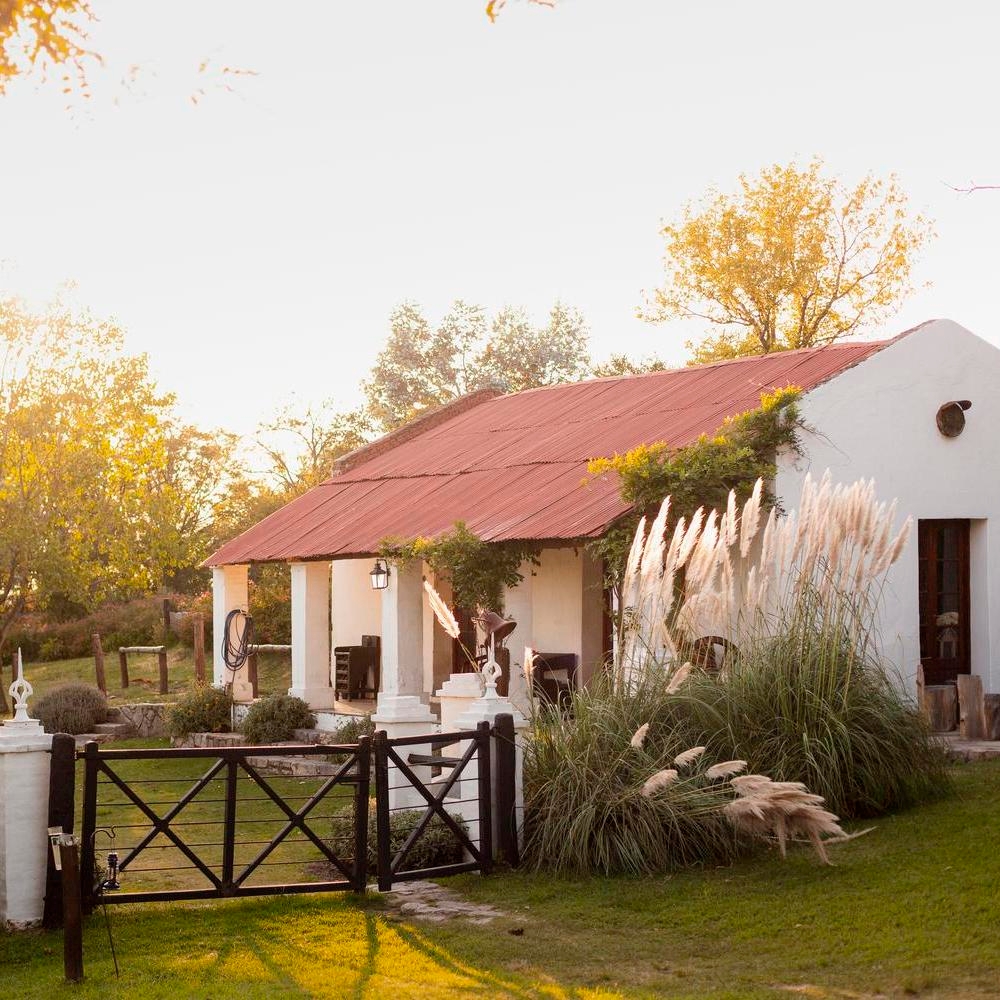 White cottage with red roof surrounded by greenery and pampas grass at sunset.