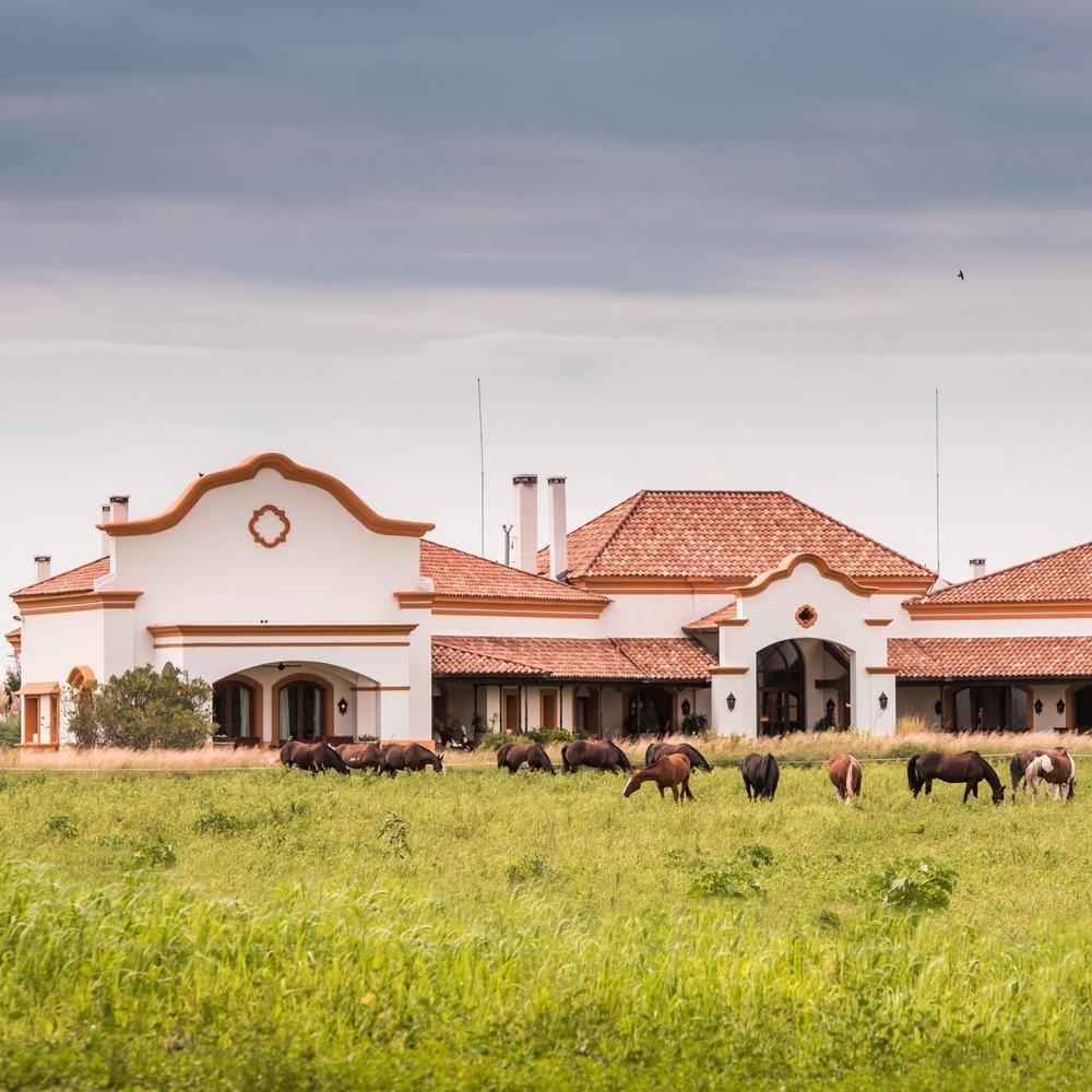 Horses grazing in front of a traditional hacienda with a cloudy sky backdrop.