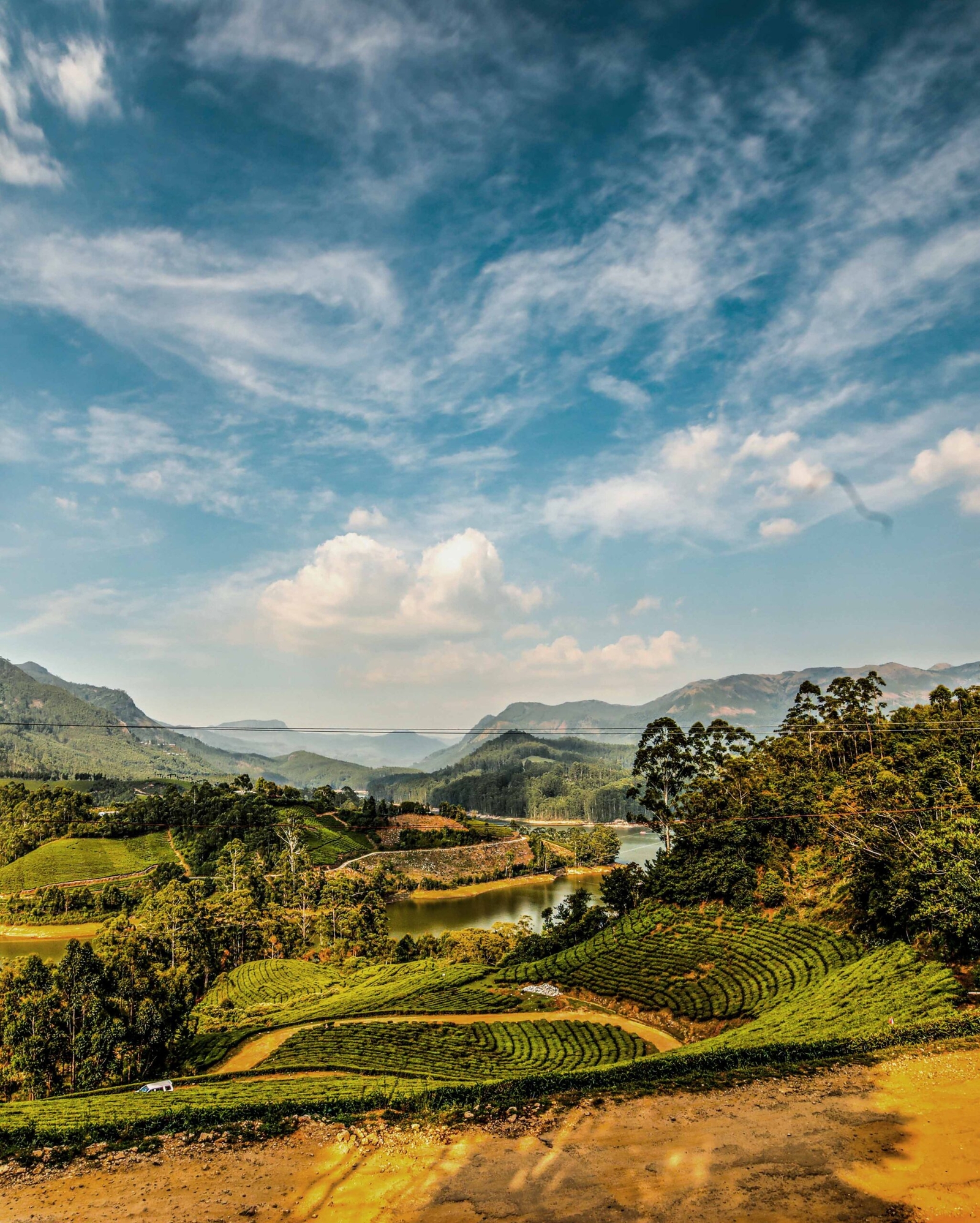 Rolling tea plantations with a small lake under a blue sky with wispy clouds.