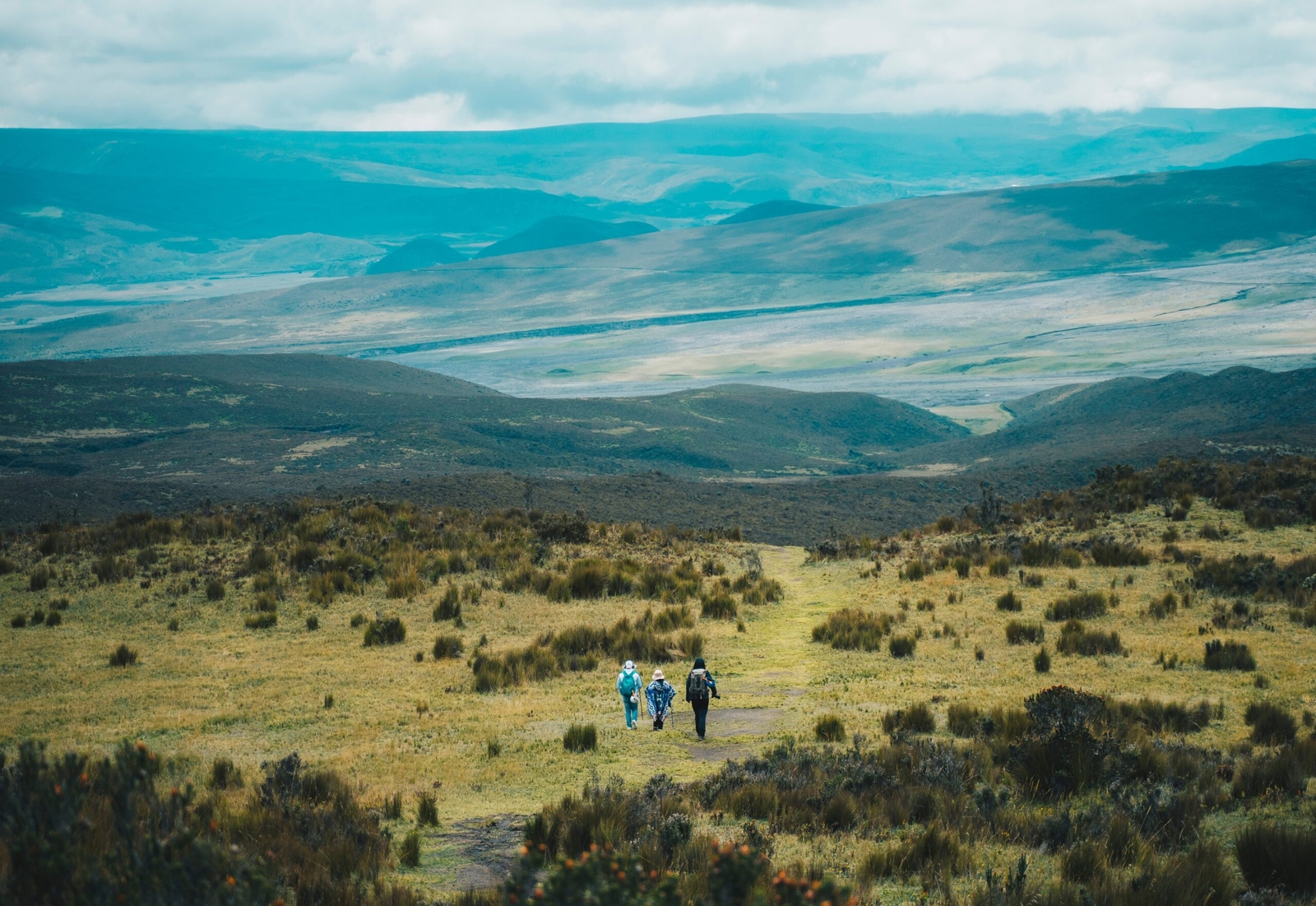Hikers walking in a grassy valley with distant rolling hills.