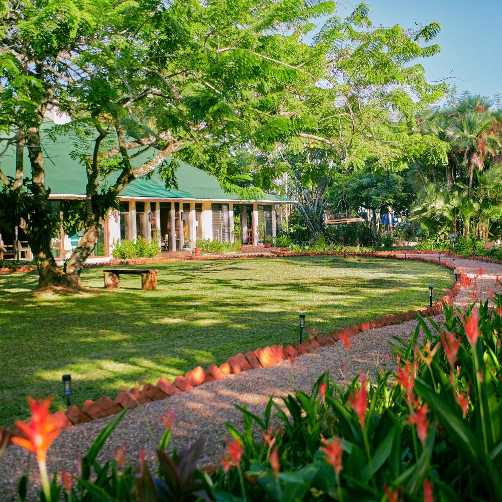 A tropical garden with lush greenery and a path leading to a building with columns.