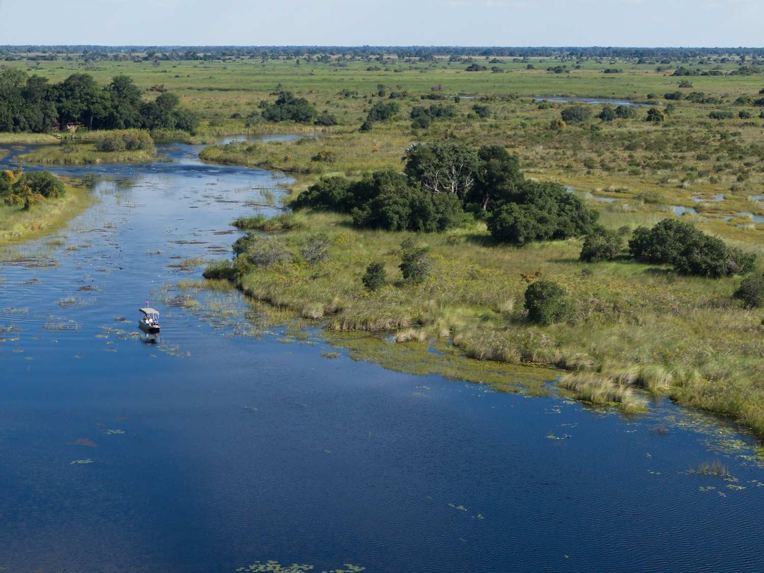 An aerial of a motorboat cruising in the Okavango Delta.
