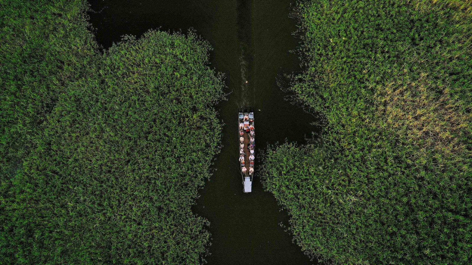 The Top 14 Luxury Expedition Cruises​ in 2026