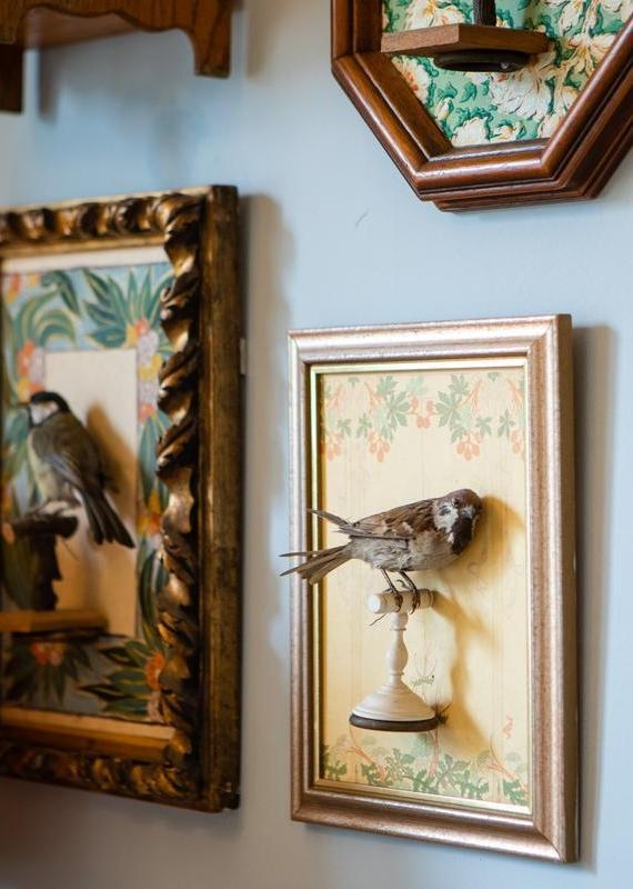 Bird themed décor at The Bird hotel, Bath