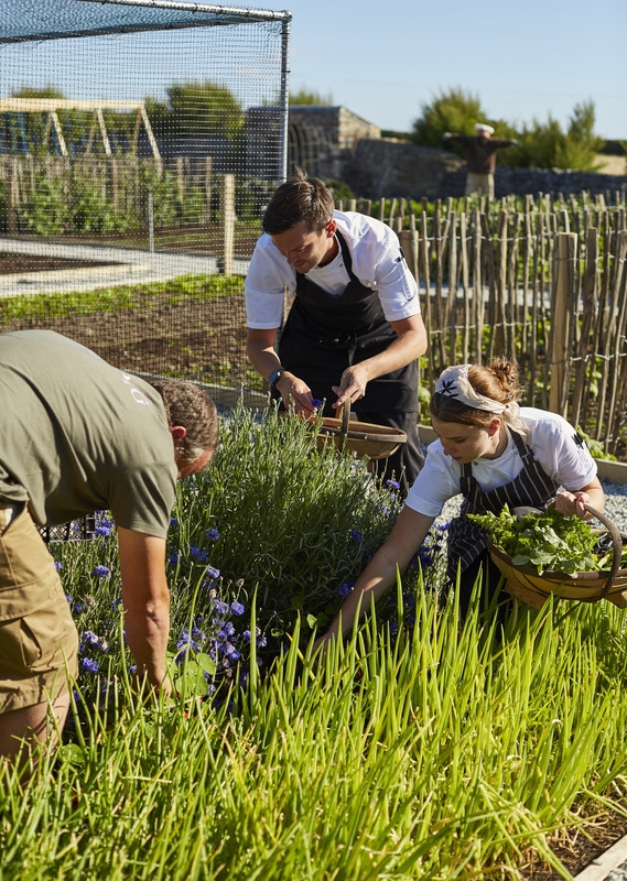 Chefs in the kitchen garden at The Pig at Harlyn Bay