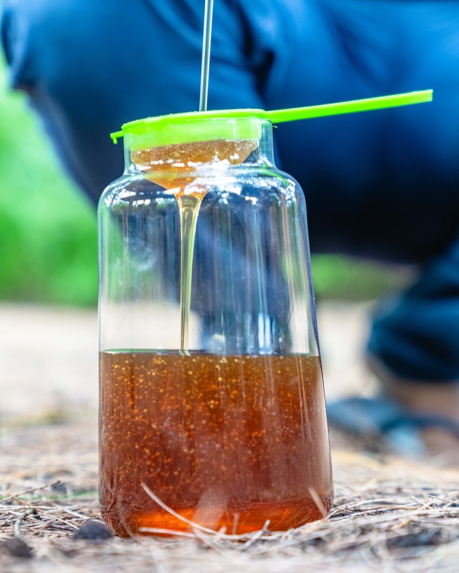 Honey being strained into a jar.