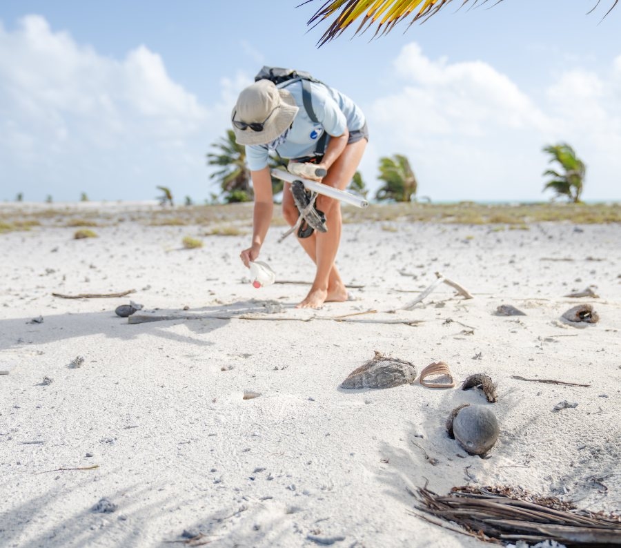 A person clearing up debris from a beach.