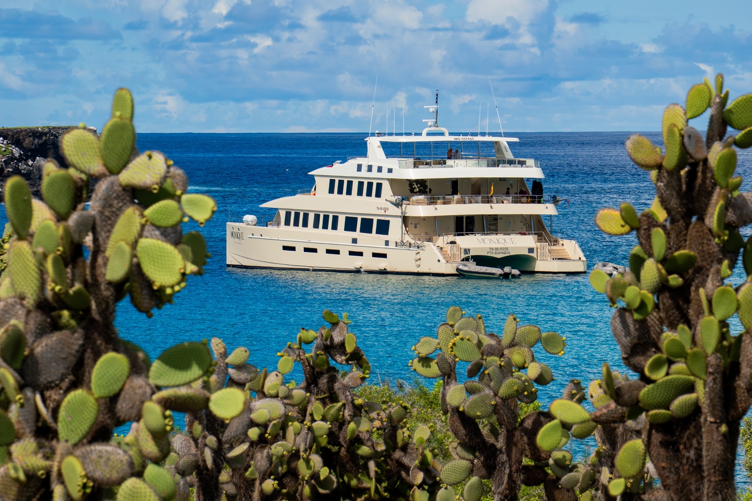 A luxury catamaran rests in vibrant blue ocean water, framed by green prickly pear cacti growing on the shore.
