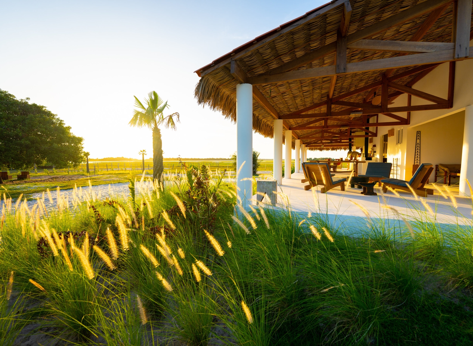 Sun shines onto an open porch with thatched roof and low upholstered chairs with tall grass in the foreground.