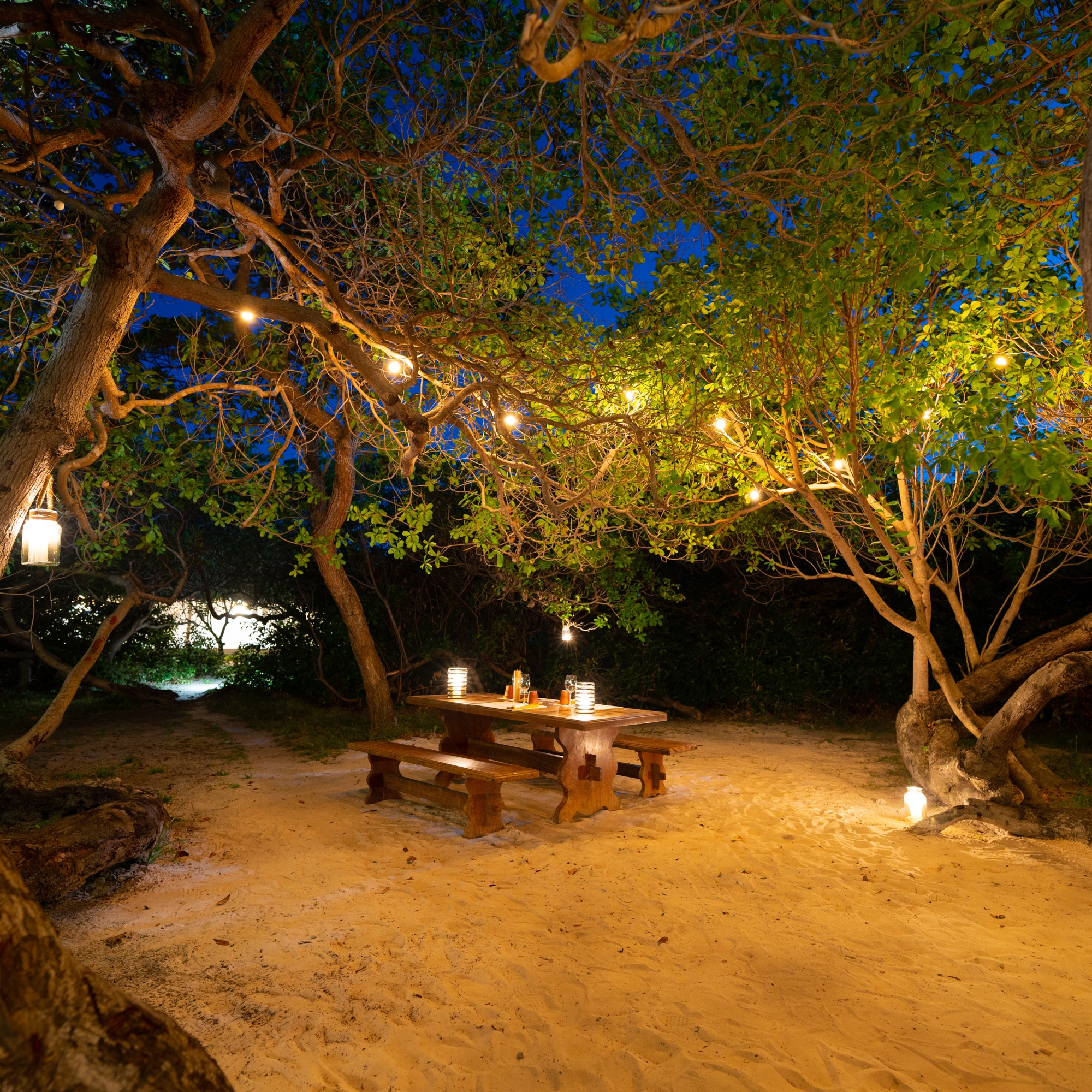 A night scene of an outdoor wooden table with candles on it under a dark evening sky and trees lit with fairy lights.
