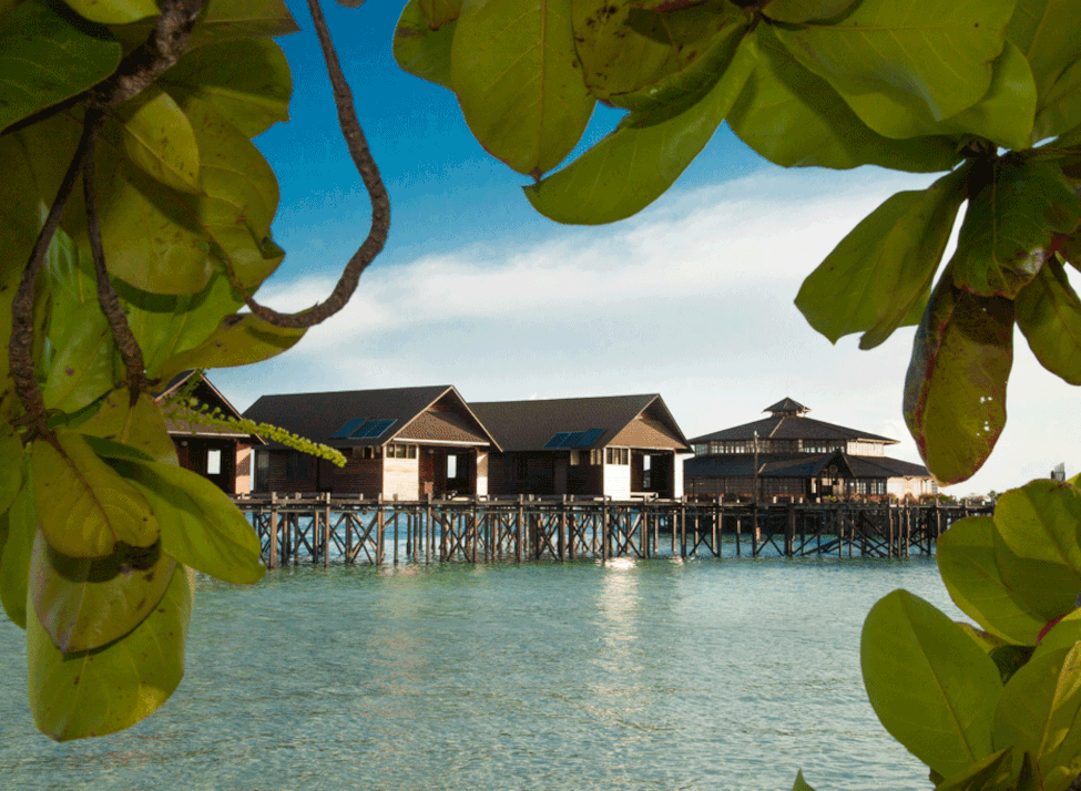 A row of over-water villas perched on stilts above light blue water is seen through a frame of green foliage in the foreground.