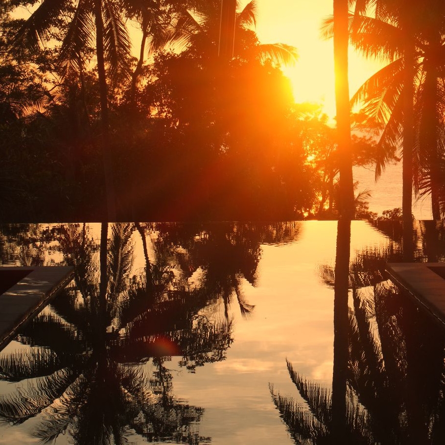 Exterior of a pool area with palm trees and an orange sunset being reflected in the water.