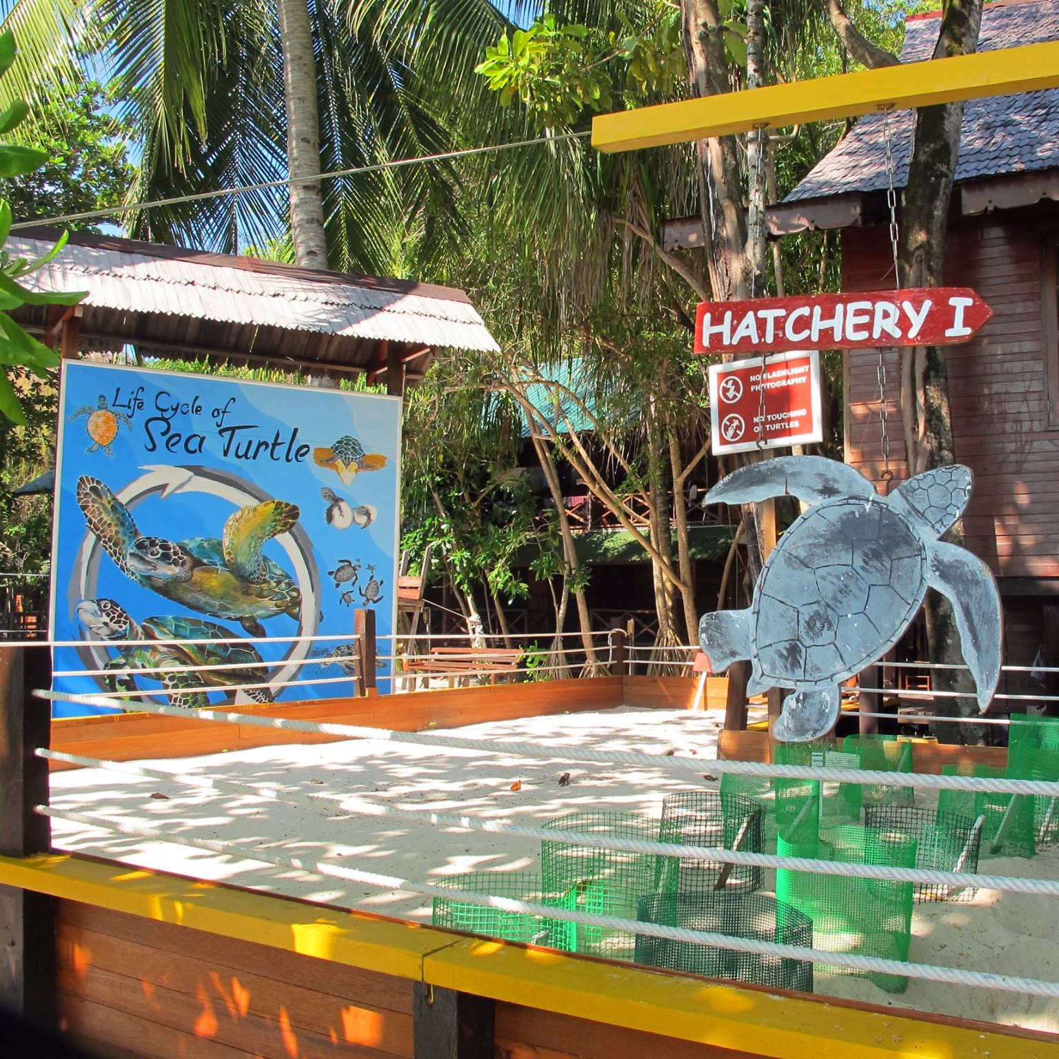 Exterior shot of signage indicating a sea turtle hatchery.