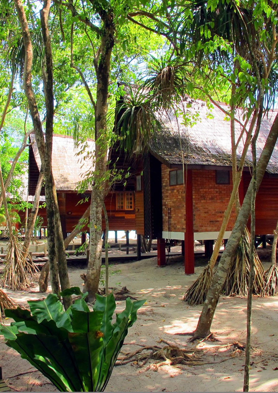 Exterior shot of two chalets with pitched roofs sitting on low stilts on a sandy beach surrounded by palm trees.