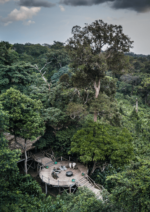 Wide view from above of a round raised wooden deck in the middle of the forest