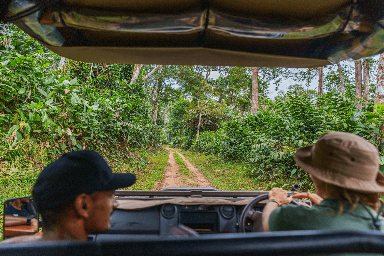View from the backseat of a vehicle with two people in front and a dirt road and forest ahead