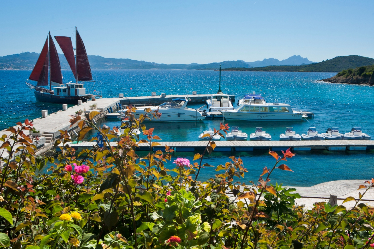Pink rose bushes in foreground with a small marina with yachts and a sailboat and turquoise sea stretching away.