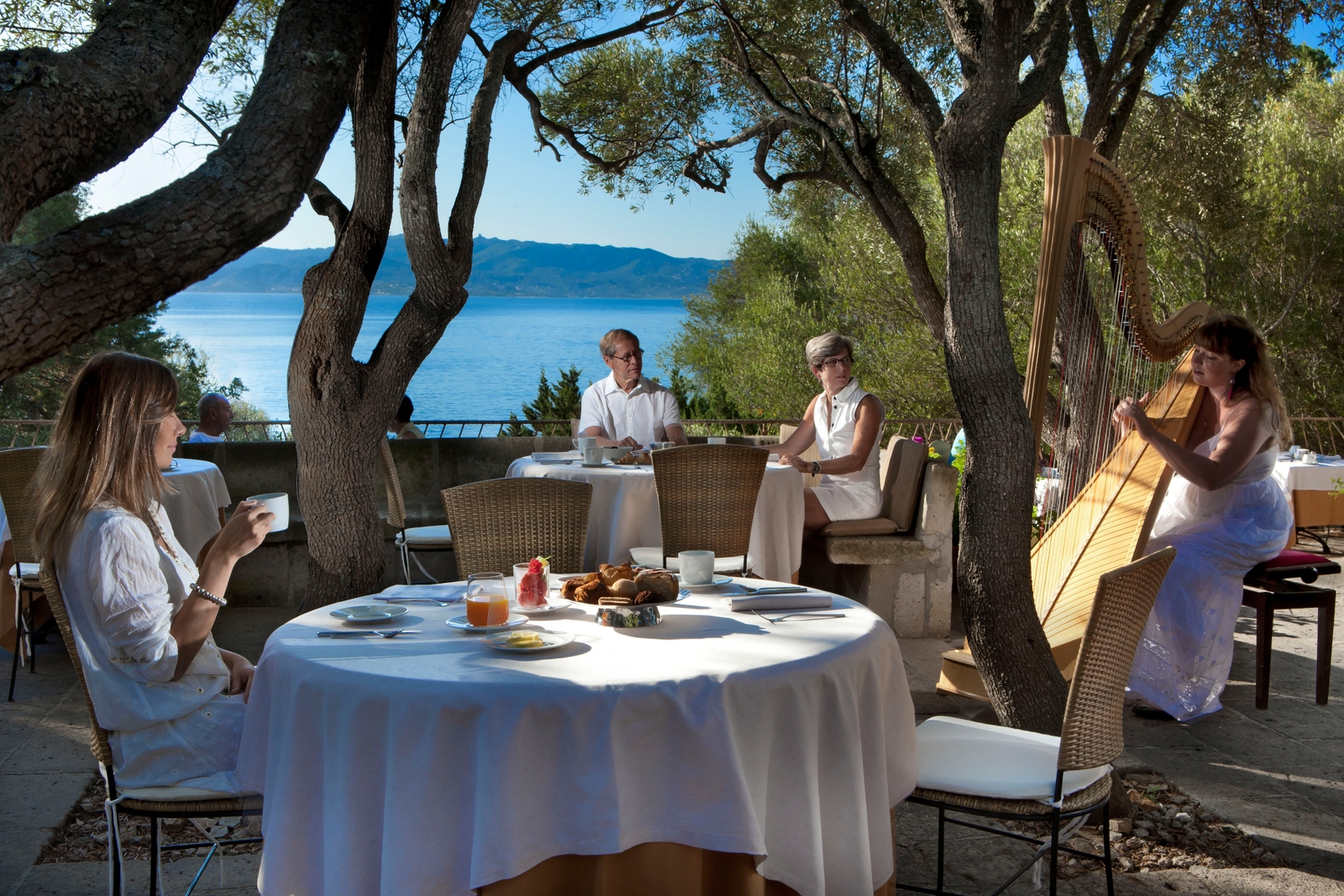 An outdoor dining space with people sitting around a white-tablecloth table surrounded by trees and overlooking the sea.