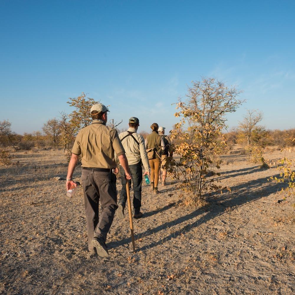 Five people, seen from behind, walk in a line through dry, sandy African savanna terrain during the golden hour, led by a guide.