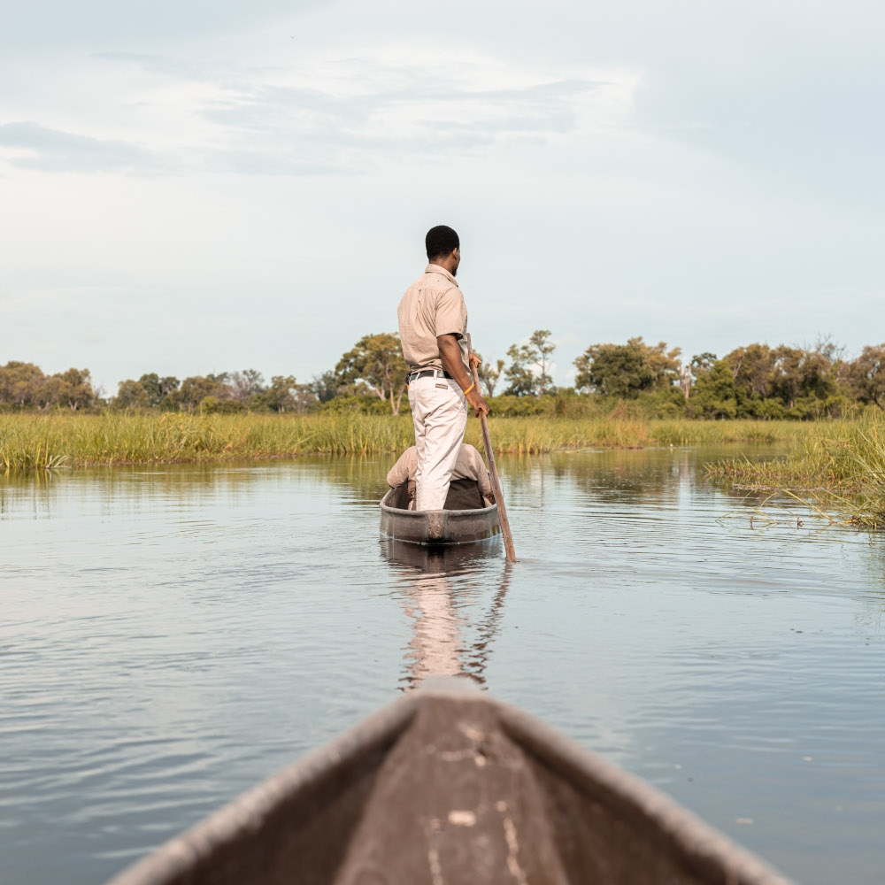 View of the front of a canoe gliding through water and reeds, and ahead is another canoe with a guide standing and steering with a stick.