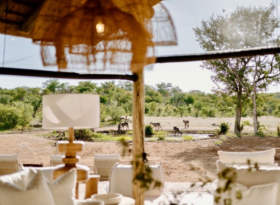 A view from a safari tent's interior shows several antelope drinking at a waterhole in a savanna landscape.