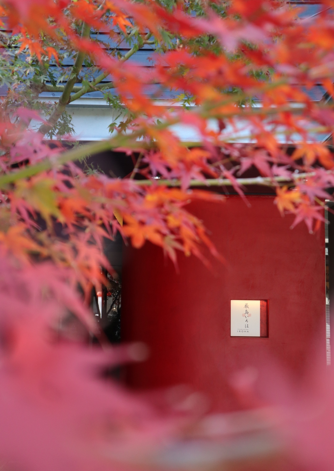 Exterior of a red-walled entrance to the ryokan with a tree with red maple leaves in the foreground.