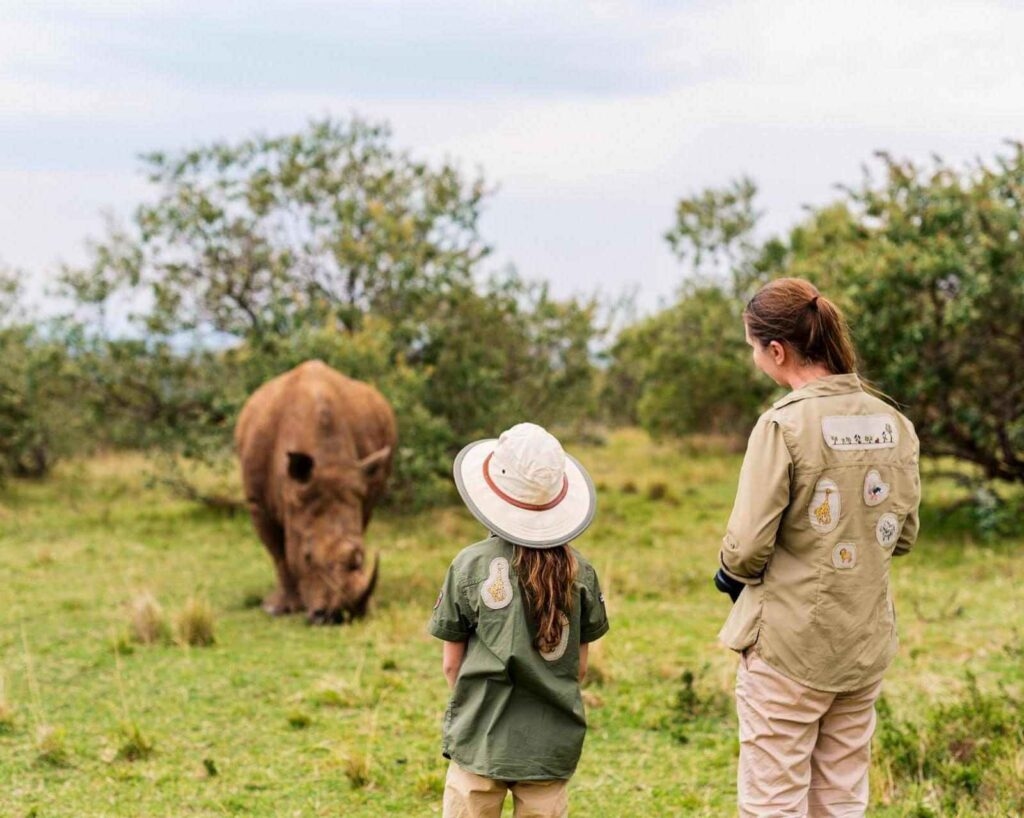 Walking safaris