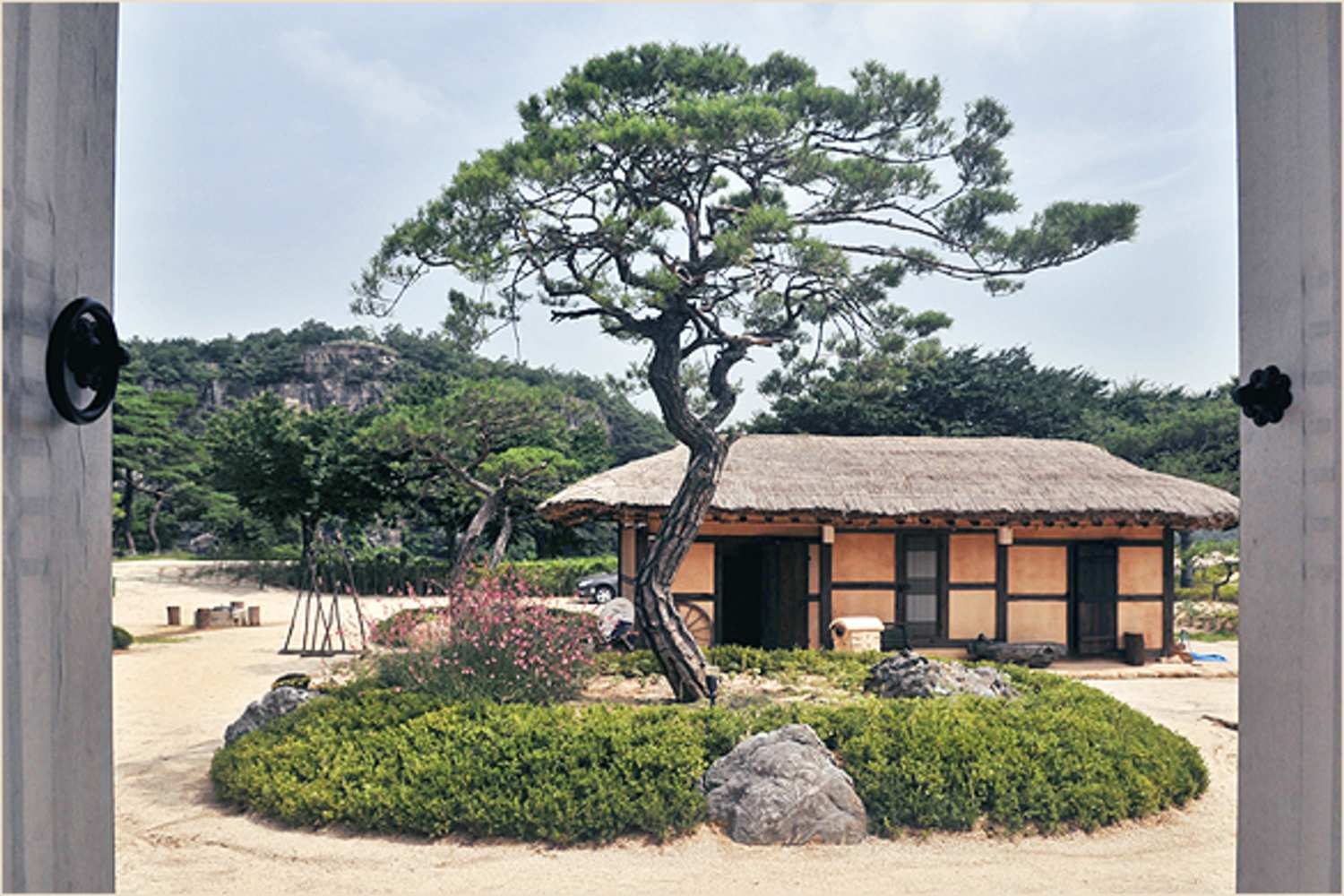Traditional thatched-roof hanok house with a curved pine tree and circular garden bed at Rakkojae Andong.
