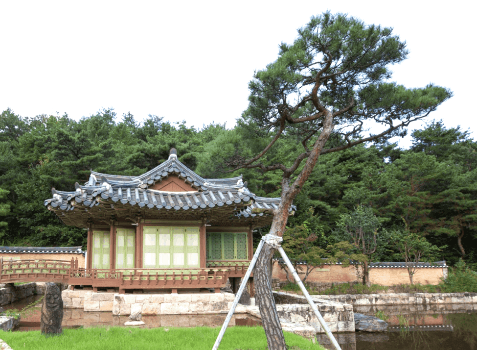 Traditional Korean hanok pavilion with tiled roof and paper lattice windows, set beside a pond with a leaning pine tree at Rakkojae Andong.