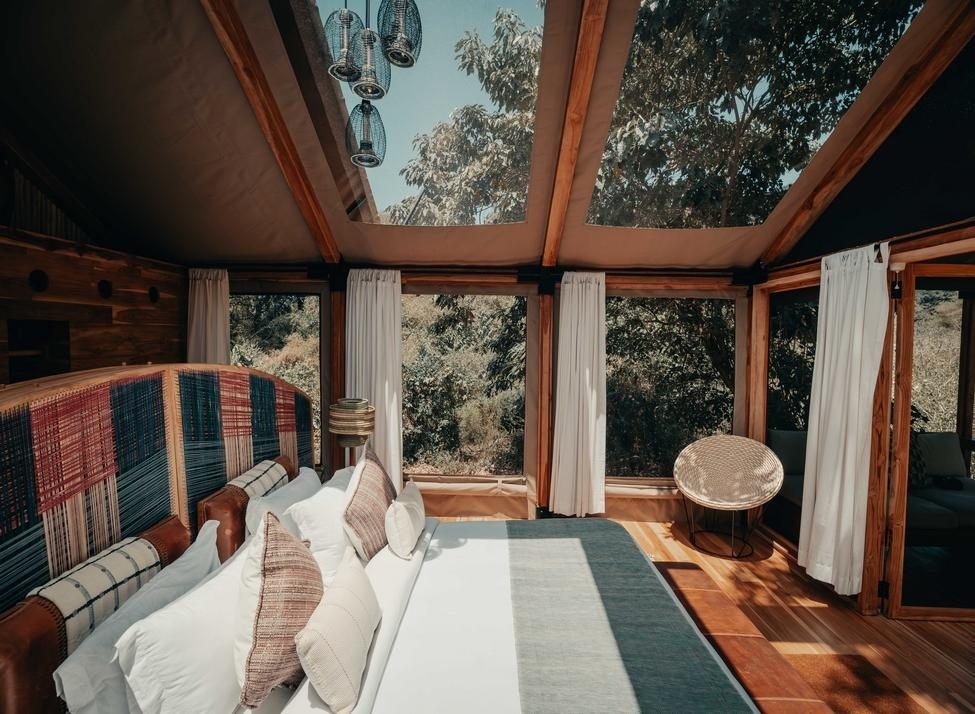 A bed with cushions and woven headboard in the foreground, with views of woodland visible through tall windows to the sides and on the roof.