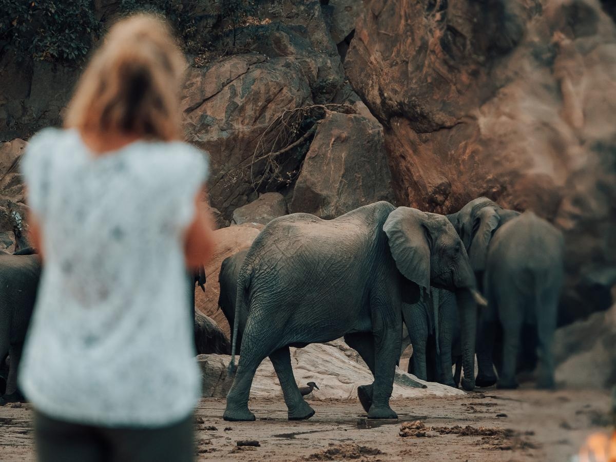 A woman stands with her back to the camera, watching elephants as they walk around the rocks.