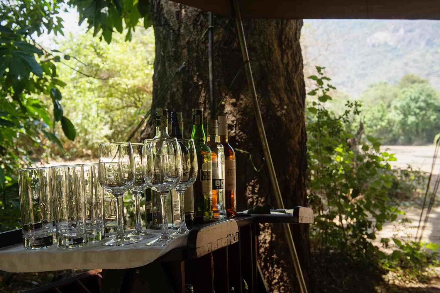Tall and stemmed glasses are set out on a tray with bottles of spirits behind, in front of a tree and with forest views beyond.