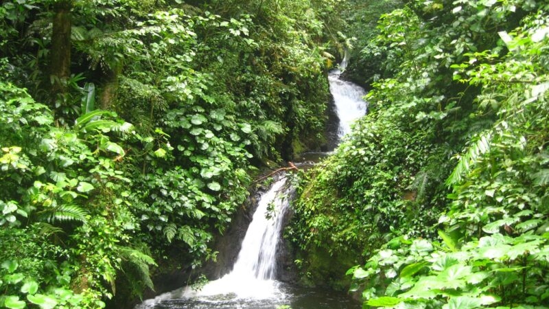 monteverde-costa-rica