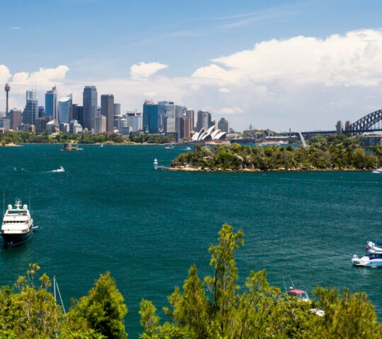 sydney-harbour-skyline-view