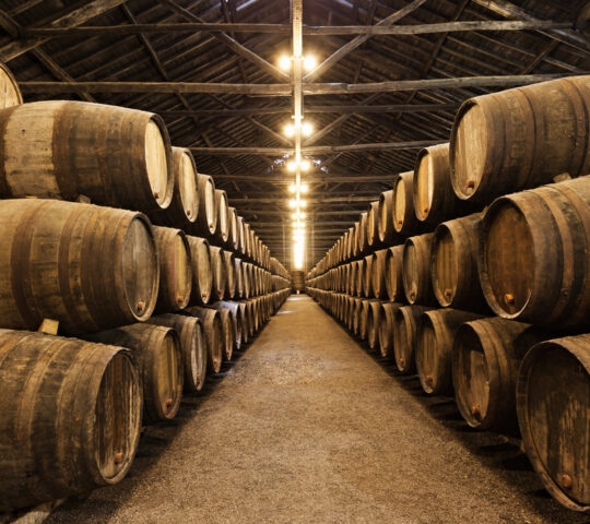 Symmetrical rows of large wooden wine barrels stacked in a long, dark cellar with overhead lighting.