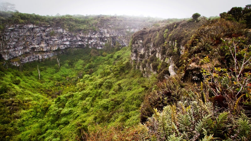 Amazing landscape of Twin Craters, Los Gemelos, mysterious mossy forest