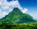 A lush green mountain peak rising above tropical trees during luxury French Polynesia tours.