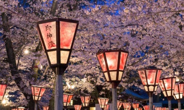 "Cherry Blossom of Japan" Luxury Tour