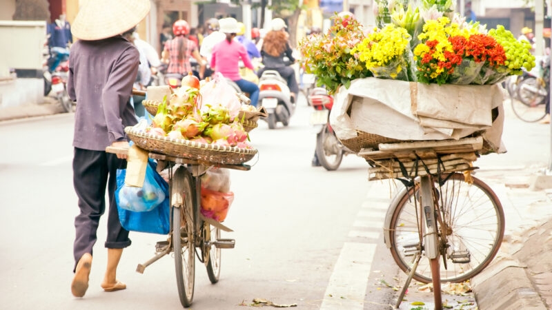 hanoi-flower-bike-vietnam