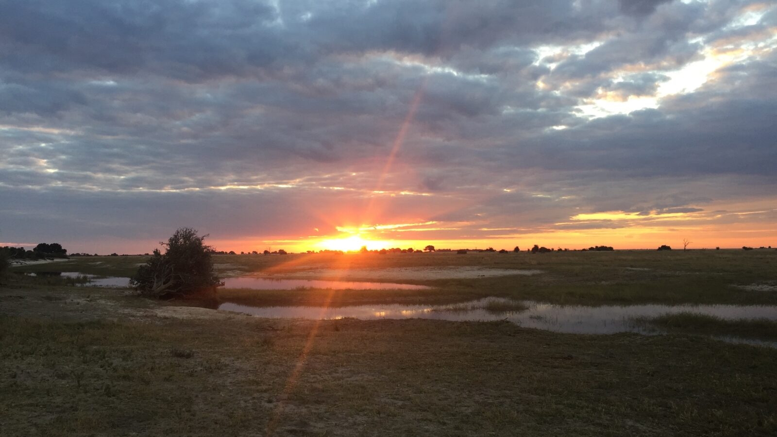Chobe Park, Botswana