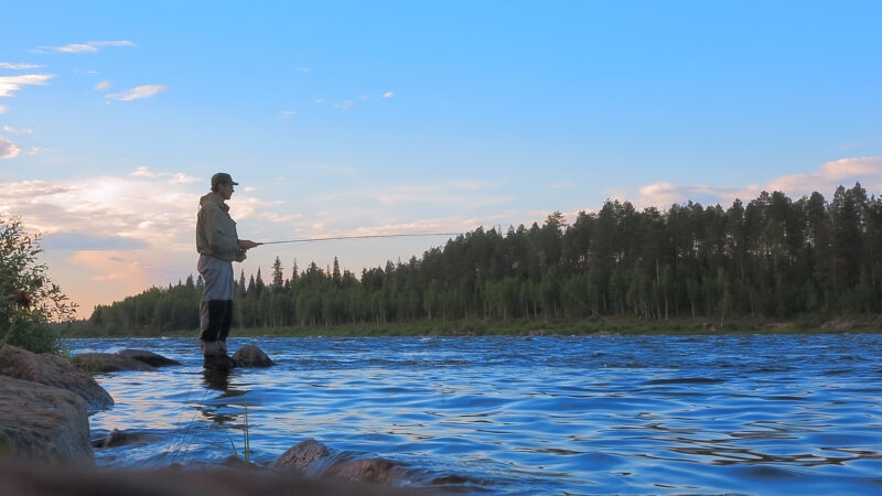 Profile of a person fly fishing in a wide blue river with a dense evergreen forest on the opposite bank at dusk.